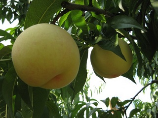 20111010.jpg