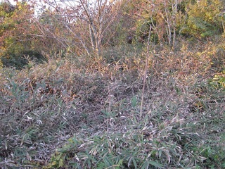 20111026-2.jpg
