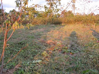 20111026.jpg