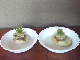 20111120-2.jpg