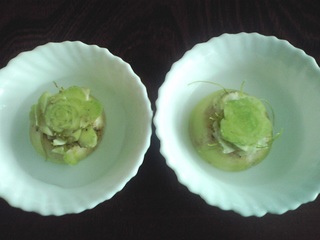 20111120.jpg