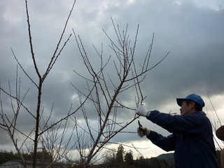 20120130-2.jpg