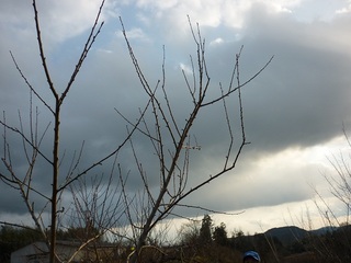 20120130-3.jpg