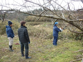 20120130.jpg