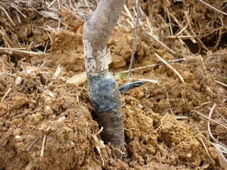 20120408-2.jpg