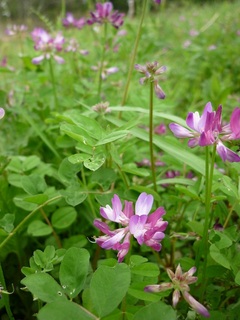 20120501-2.jpg