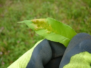 20120501-3.jpg