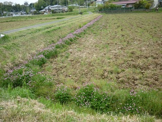 20120501.jpg
