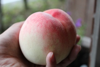 20120711-2.jpg
