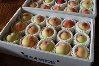20120723-2.jpg