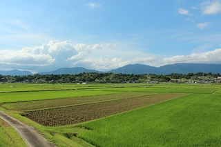 20120724.jpg