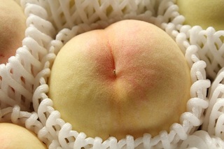 おかやま夢白桃は甘くておいしい、今年最後の桃です!産地直送でどうぞ☆